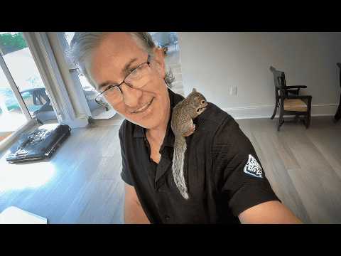 Scared Squirrel Gives Her Rescuer A BIG Surprise