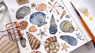 Loose Watercolor Seashell Doodle Tutorial
