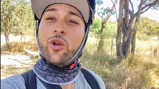 Fume DMT mi experiencia Bufo Alvarius 5 Meo DMT