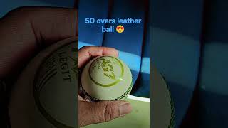 cricket ball 50 overs😍      #viralvideo #cricketlover #bcci