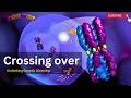 Genetic Recombination and Meiosis Concepts