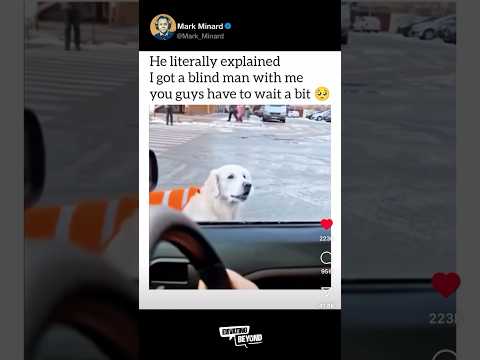 The best thing I’ve seen on the internet❤️