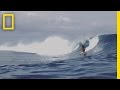 Understanding Surfing and Reef Health