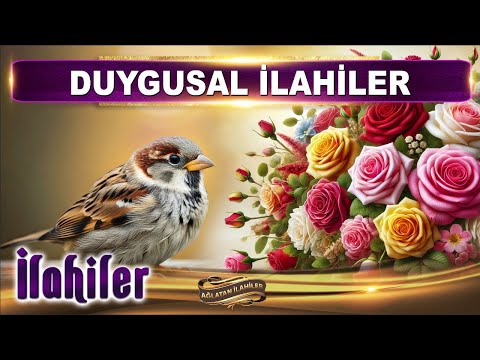 Kader verdi Seni bana, şükrederim Yaradana / Karışık seçme güzel İlahiler dinle