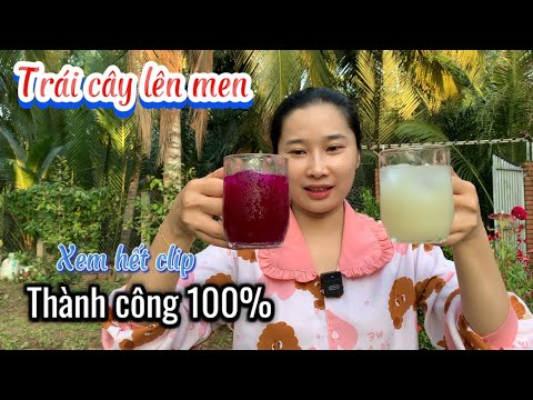 Dung Làm Rượu Trái Cây Lên Men Ngon Ngọt Đơn Giản Tại Nhà - Em Gái Quê