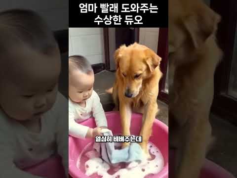 빨래 도와주는 수상한 듀오