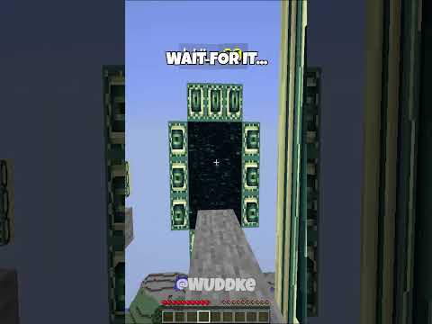 Steve Picks Portals... 😮 #shorts #minecraft