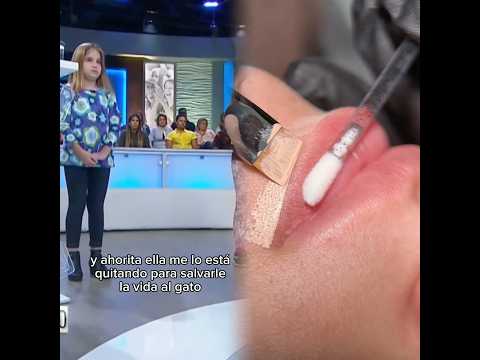 Respuesta a @draalejandraruiz #viaje #gato #parati #hermanas #doctorapolo #casocerrado #lentejas