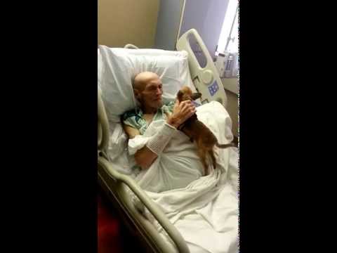 Dying Man's Health Has Improved Remarkably Since Reunion With Beloved Dog!