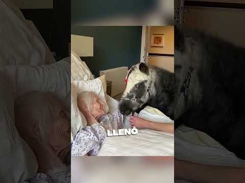Su Pony vino a despedirse de la abuela😍
