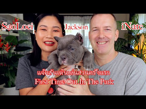 แจ็คสันเดินเล่นสวนครั้งแรกJacksonsFirstWalkInThePark!!