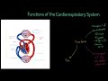 Cardio Respiratory System Concepts