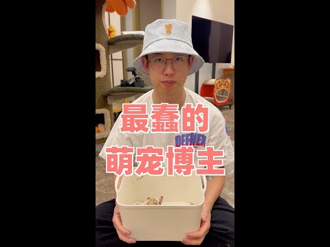 再见了，做了8年的萌宠博主