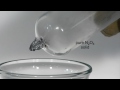 Equilibrium and Temperature Effects on Nitrogen Dioxide and Dinitrogen Tetroxide