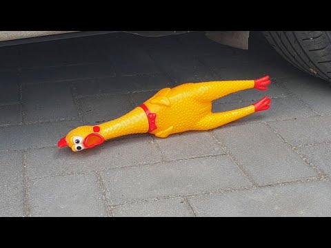 Crushing Crunchy & Soft Things by Car! EXPERIMENT CAR VS + The dog's reaction with dog toys