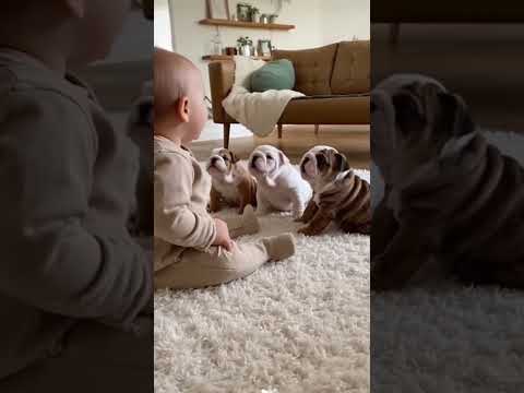 the imatation baby game 😍 ❤️ #baby #cutebaby #cutebabies