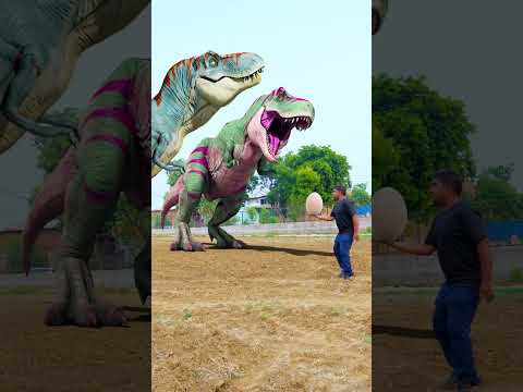 T-rex Dinosaur Egg #dinosaur #dinosaurs #jurassicworld