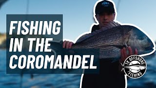 Trips with the Boys | Out Fishing in the Coromandel!