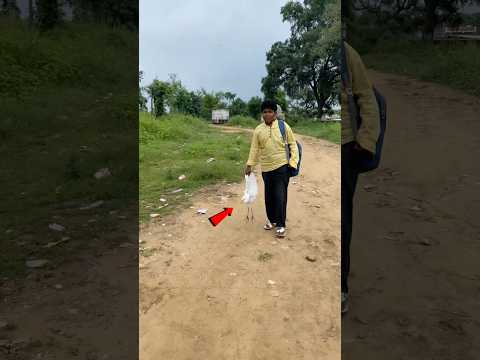saved this bird's life 😱 #minivlog #dailyvlog #petsvlog #kabutarkivideo