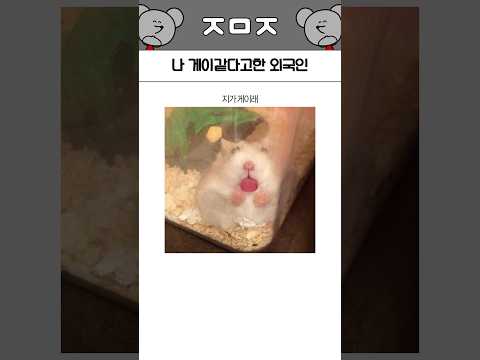 재밌고 귀여운 상황들 214탄 ㅋㅋㅋㅋㅋ