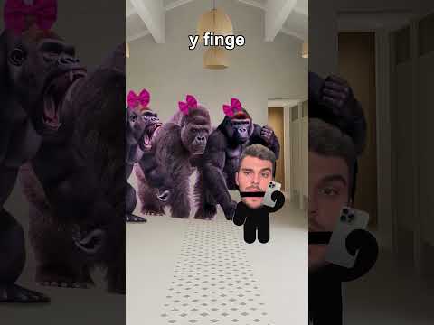 Cómo escapar de un grupo de Gorilas (Tutorial)