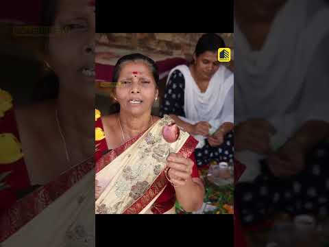 സവാള തൊലിയിൽ നിന്ന് പൂക്കൾ ഉണ്ടാക്കിയാലോ! അകത്തളം മനോഹരമാക്കാൻ ഈ ഐഡിയ സൂപ്പറാണ്  #homedecor