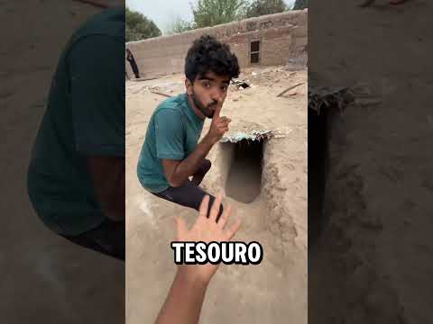 De onde vêm o gorila e seus amigos? #gorilas #humor