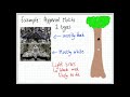 Animal Adaptations and Natural Selection