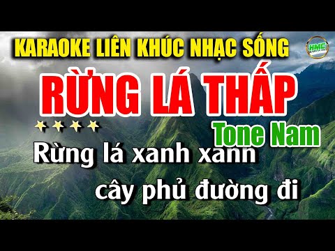 Karaoke Liên Khúc Trữ Tình Tone Nam Dễ Hát | Nhạc Xưa Bolero Hải Ngoại – RỪNG LÁ THẤP