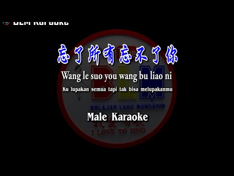 忘了所有忘不了你 – Wang le suo you wang bu liao ni – Male – Karaoke – Terjemahan – Pinyin – Lyrics – Lirik