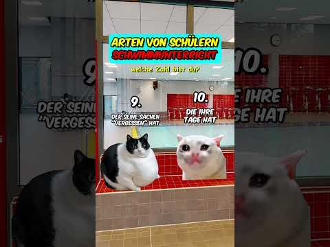 Schwimmunterricht 🌊 Arten von Schülern #katzenvideos  #schwimmen #schüler