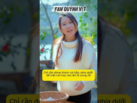 Ngôi Nhà Của Bé Thỏ #shortvideo #shorts #pets #dongvat #diy