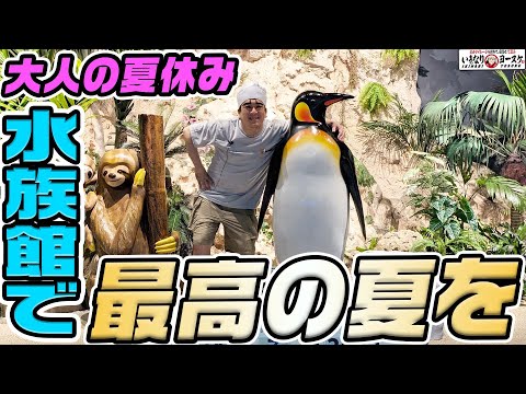 沖縄の水族館で最高の夏を過ごしてみた｜1GAMEいきなりヨースケ（特別編）【パチスロ・パチンコ】