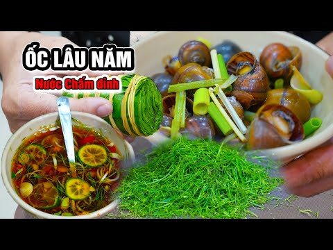 🔥ỐC TRUYỀN THỐNG lâu đời 🐚 Bí quyết NƯỚC CHẤM thần thánh & câu chuyện KHỞI NGHIỆP đầy cảm xúc!