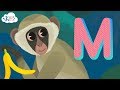Learning the Letter M