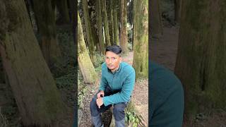 Sikkim Vlog!