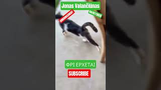 💥#Jonas🇱🇹#valanciunas 📢#announcement ☘️#panathinaikos 🏀#basketball 🟠#euroleague 🇺🇸#nba ⚪#sacramento