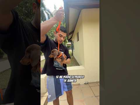 No soy bueno cuidando mascotas 😂🤣