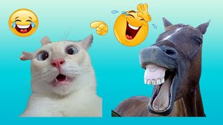 TRY NOT TO LAUGH 😆 Best Funny Videos Compilation 😂😁😆 Memes PART 3 #funny #fails #laugh