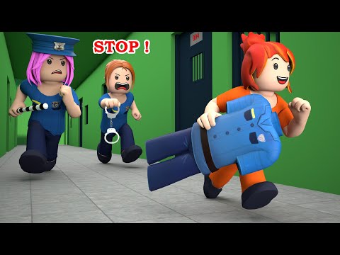 ROBLOX Brookhaven 🏡RP - FUNNY MOMENTS: POLICE CHASE THIEF ROBLOX | Roblox Edgar