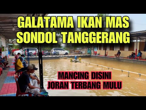 Gak Percuma Jauh-Jauh Mancing Kesini Hasilnya Liat Saja Sendiri Guys