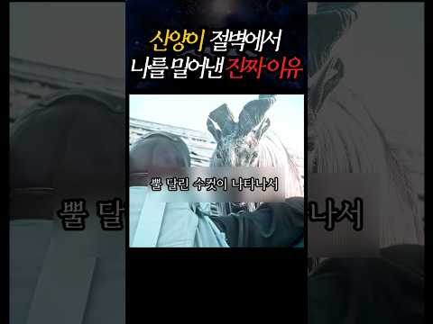 산양이 절벽에서 나를 밀어낸 진짜 이유