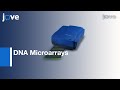 Microarray Experiment Procedures