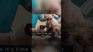 Khộng thể tin nổi lý do này