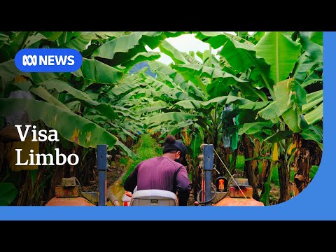 YouTube video thumbnail: Farm Workers Vulnerable to Exploitation While in Visa Limbo