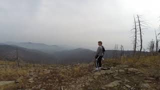 Лес