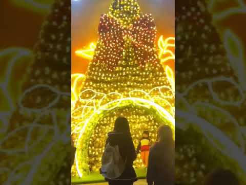 15ธันวาคมค.ศ.2024 Eat and travel 15ธันวาคมค.ศ.2024