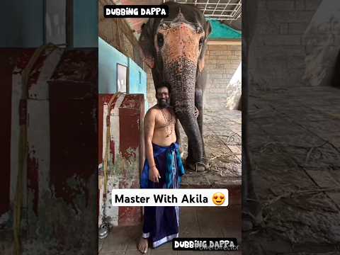 Baba Baskar Master 😊 Thank you 🤣 #funny #shorts #elephant #shortsfeed #comedy #pets #funnyanimals