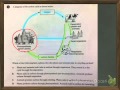 Understanding the Carbon Cycle Roles