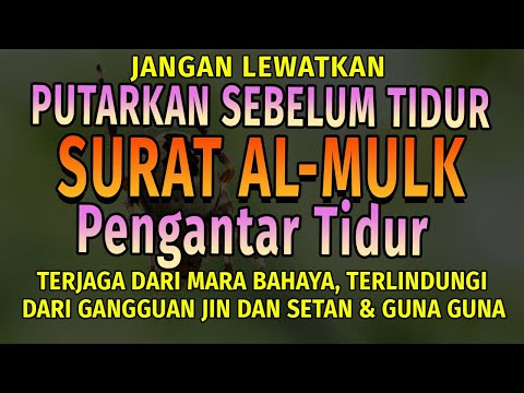 Putarkan Surat Al Mulk Pengantar Tidur | Terjaga Dari Gangguan Jin & Setan, Selamat Dari Mara Bahaya